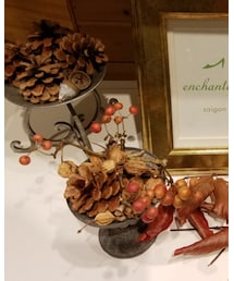 まつぼっくり | インテリア