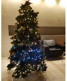 クリスマスツリー🎄 | その他