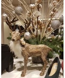 トナカイさん | その他