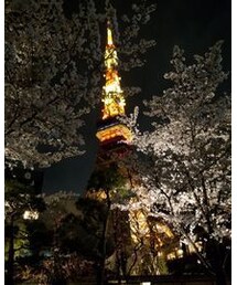 東京🗼と桜🌸 | その他