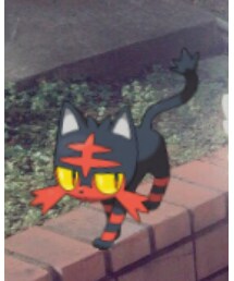 pokemon | おもちゃ