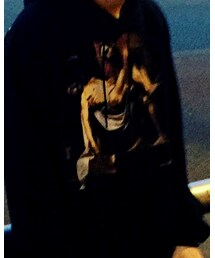 PYREX VISION | パーカー