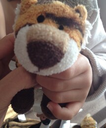 ダイソー | トラ吉(おもちゃ)