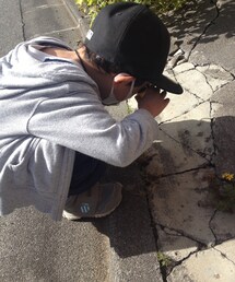 大冒険 | 観察中(その他)