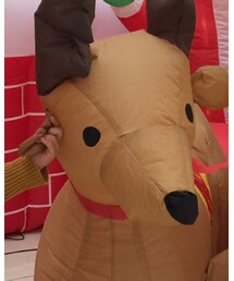 petit main | トップス