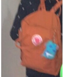 Fjallraven Kanken | バックパック/リュック