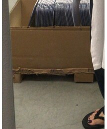 havaianas | ビーチサンダル