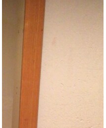 w closet | Tシャツ/カットソー