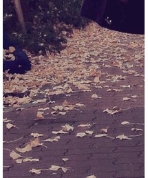 シーズン | デニムパンツ