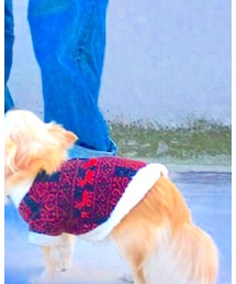 ぷりんちゃん | アクセサリー