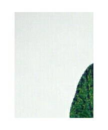 shopnikoniko | トップス