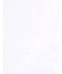 shopnikoniko | トップス