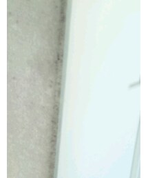 shopnikoniko | Tシャツ/カットソー