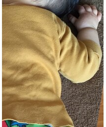 Entertaining Elephants | Tシャツ/カットソー