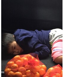 UNIQLO | スウェット