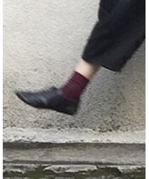 靴下屋 | ソックス/靴下