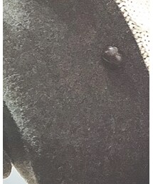 BEAMS | ピーコート