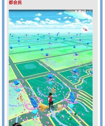 ポケモン 都会民 | その他