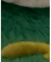 GUCCl | ジャケット/アウター