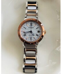 EXCEED | CITIZEN EXCEED Titan 12 Point Diamond WORLD TIME MODEL(アナログ腕時計)