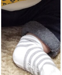 SHIPS KIDS | ソックス/靴下