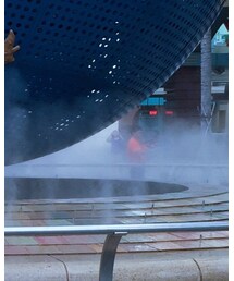 STUSSY | Tシャツ/カットソー