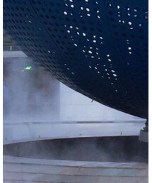 STUSSY | Tシャツ/カットソー