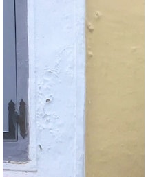 American Apparel | Tシャツ/カットソー