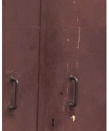 WEGO | Tシャツ/カットソー