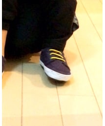 POLO RALPH LAUREN | スニーカー