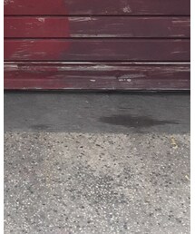 adidas | スニーカー