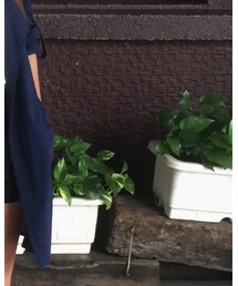 Sunny Dress | テーラードジャケット