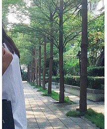 CACO | Tシャツ/カットソー