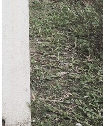 adidas | シューズ