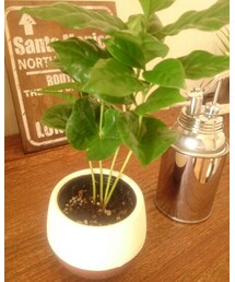 green | その他