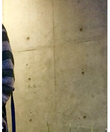 SANTA CRUZ | Tシャツ/カットソー