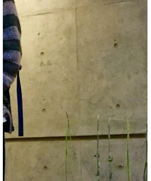 メキシカンパーカー | その他トップス