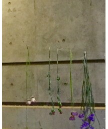 THE NORTH FACE | バックパック/リュック