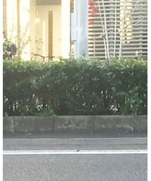 UNIQLO | ニット/セーター