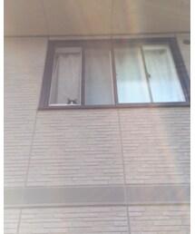 にゃんき | その他