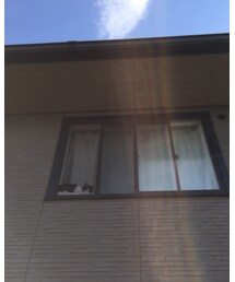 にゃんき | その他