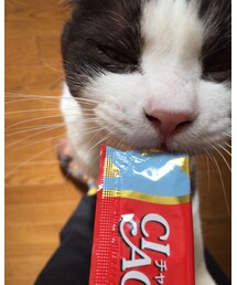 チュール大好き | その他