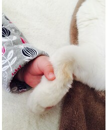 仲良し | その他