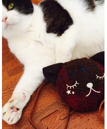 🐈の日 | その他