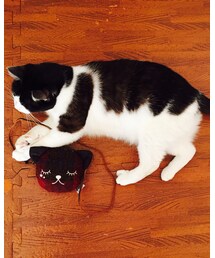 🐈の日 | その他