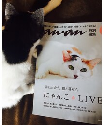 買ったニャリ | その他