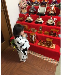 🎎 | その他
