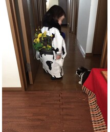 仲良し | その他