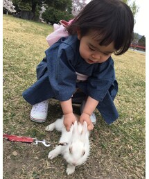 sAn | その他