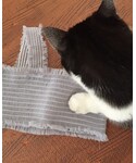 monmimiの「トップス(チューブトップ)」